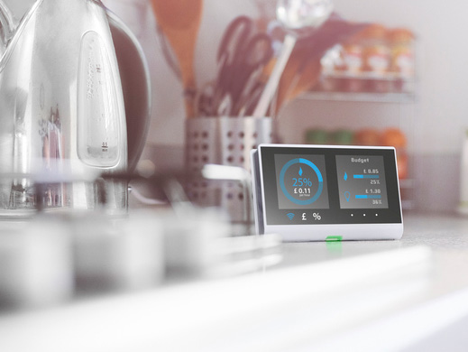 Tea Kettle with Smart Thermostat