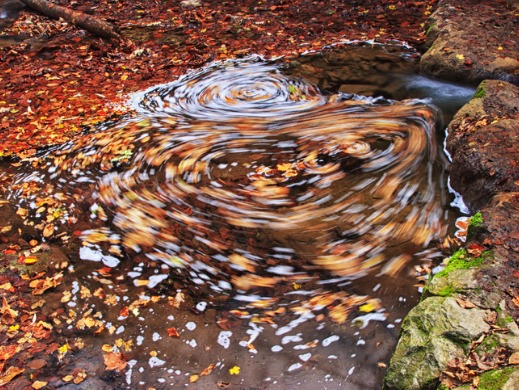 Leaves whirling in water